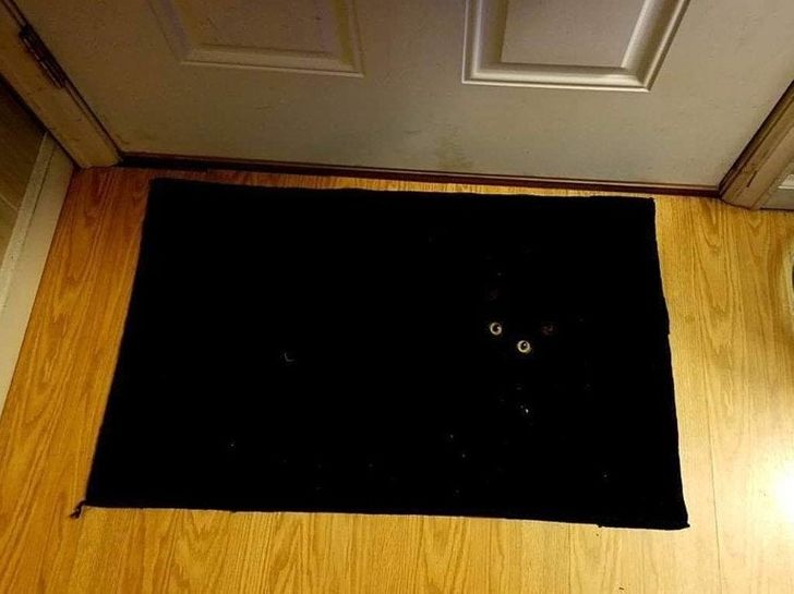 b7e4075858b60abf4a4f93dbce