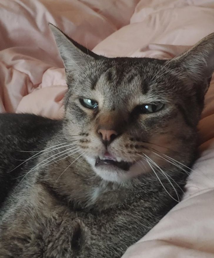 b7e6975472b25470896a5a5928