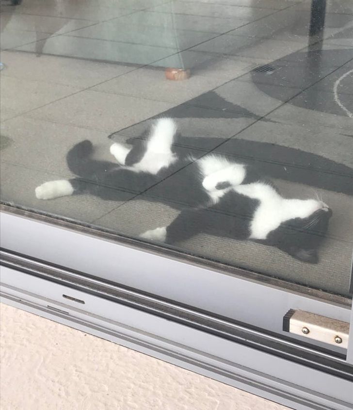 b7ee6856049d2480c6ffeea7c2