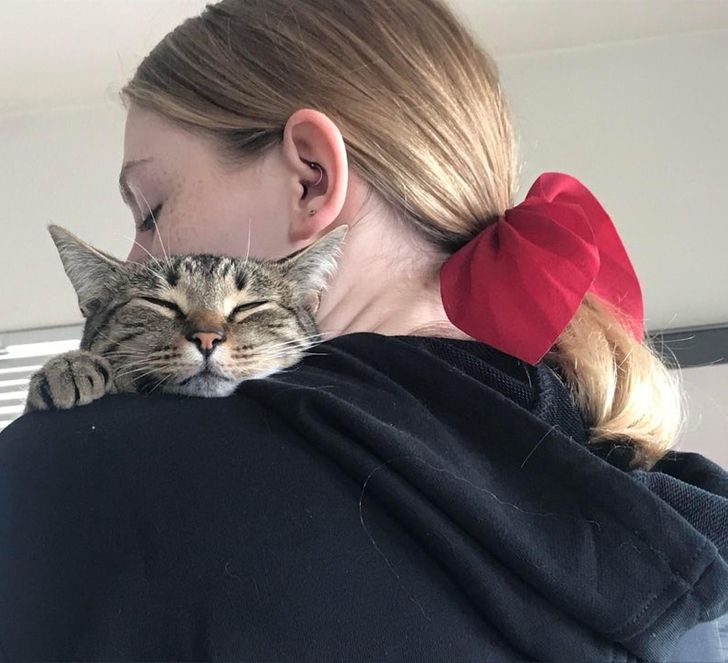 b7ef5153c794ee15692c0b1d6b