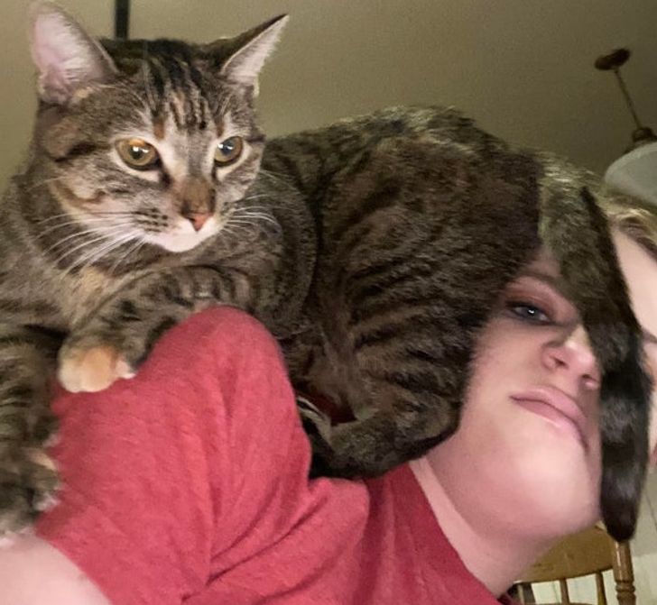 b7fc6b59c596d6f609b854e07c