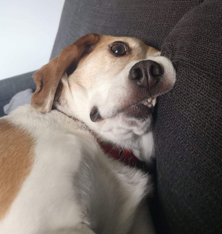 b7fe515c4381901f68657d357a