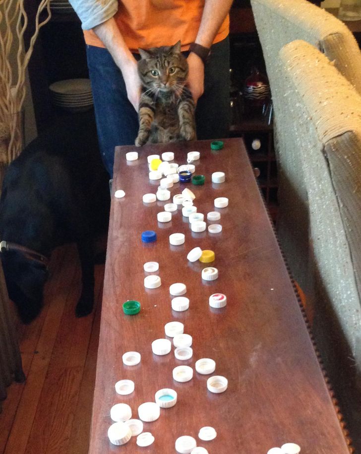 b8000757158c319917dc243978