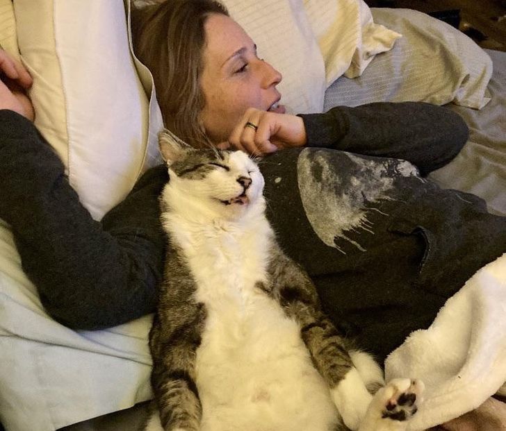 b80d785448a45cffb8b8de8c18