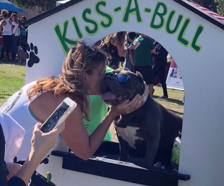 b80db957629877da9bc8f01b56