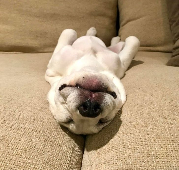 b80f38566a96dc688499e55310