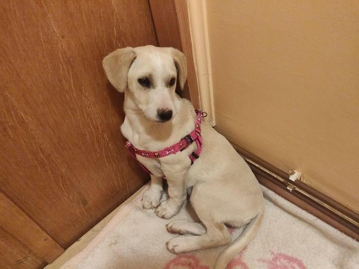 b810f559aaa2d4c266f9ba1d6e