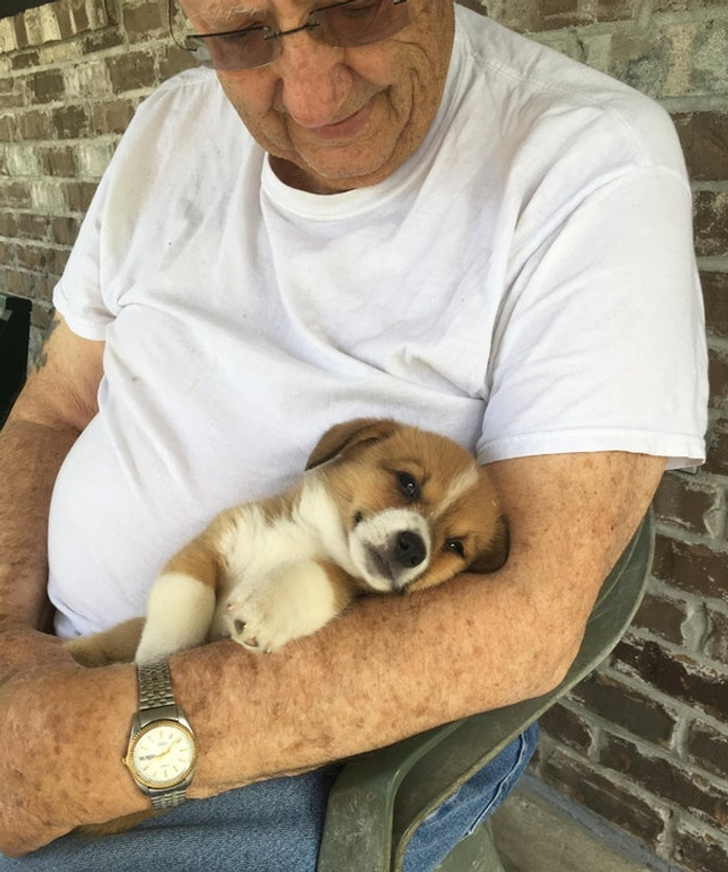 b81ba65f26b4723e720fed78e0