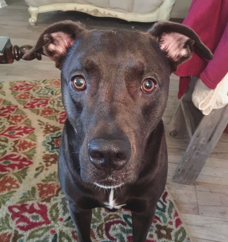 b825495e598acd255517f0b2c5