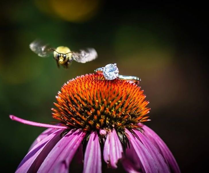 b827ce587e99d53dc6eee279d9