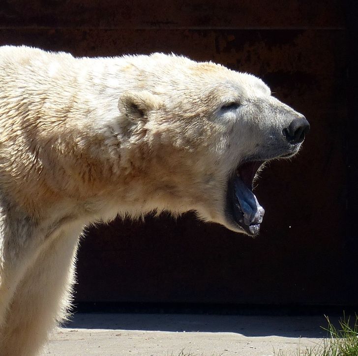 b82a765a808148c22fdffe24d7