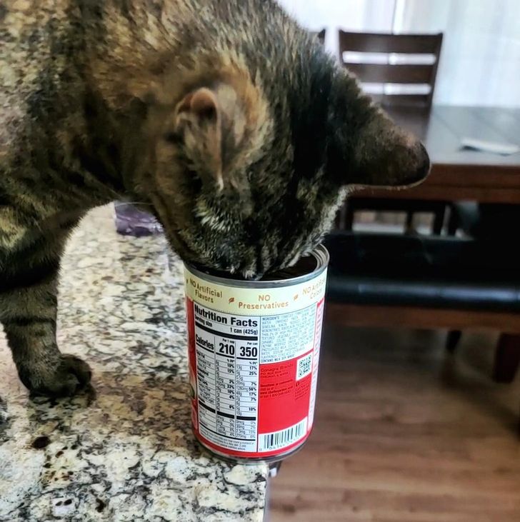 b82c24595bbc2774d2abe54766