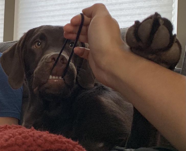 b82d1d57fdbfe8baea58801b3b b82d1d57fdbfe8baea58801b3b