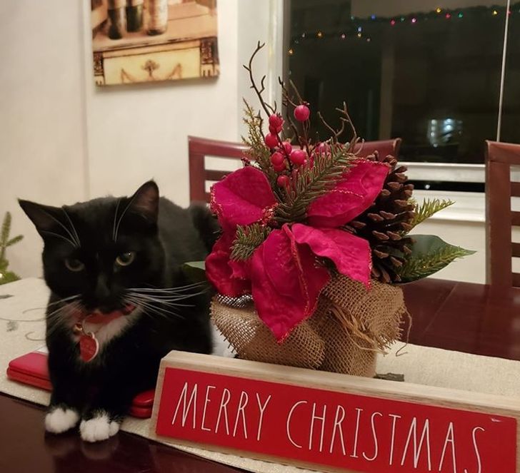 b830025648ad91d0f03394f6f3