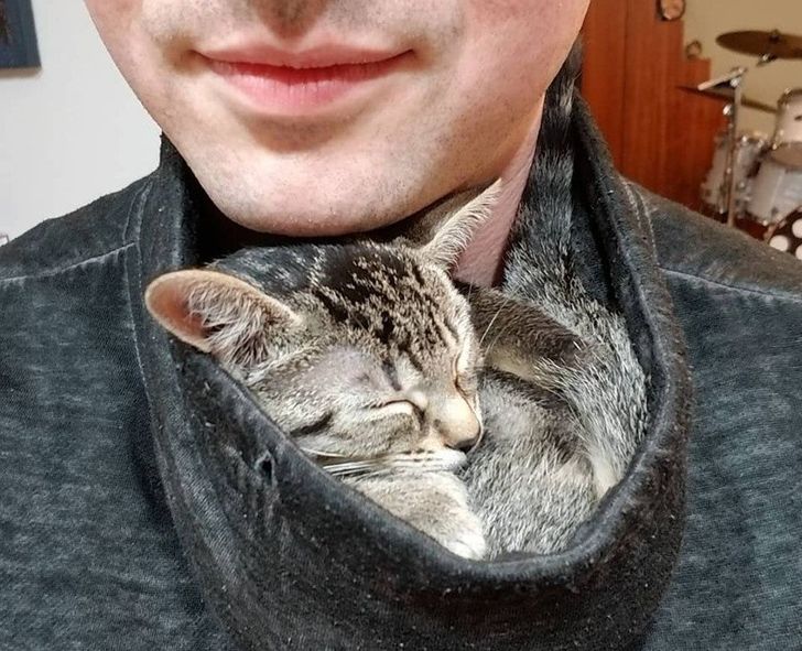 b831ff5de782848704e16c8003