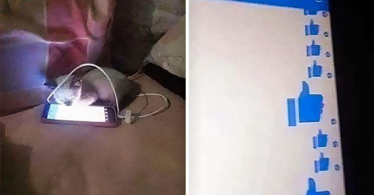 b83bab537c8968d19bb013aa94