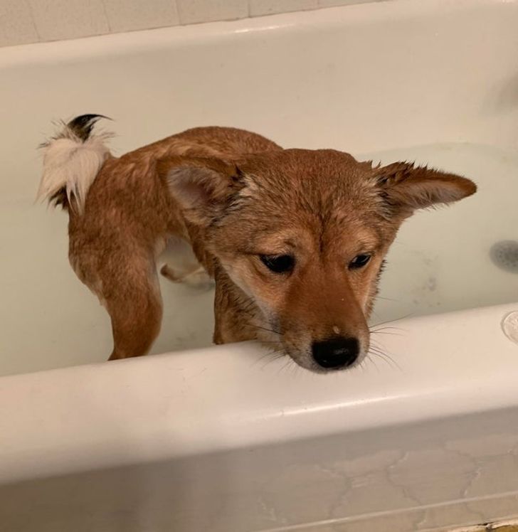 b83d75543286988b9c74779181