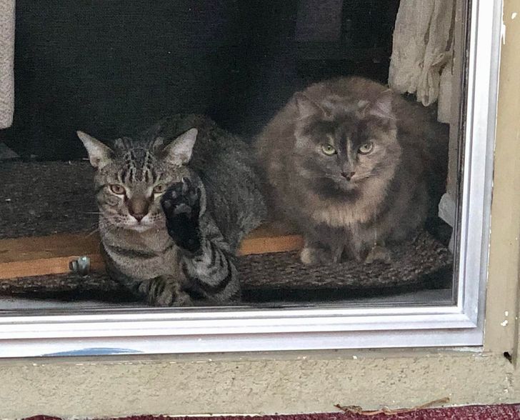 b844a9569a9df4f2b7f9f65b06