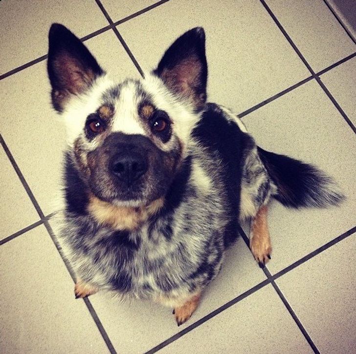 b848d6531f8992d792fb25df5d