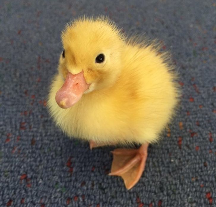 b84fd15d719437833c892a868e