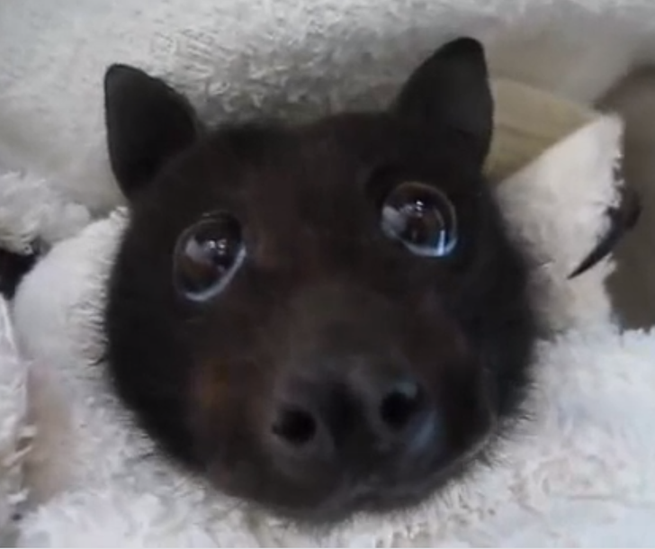 b84fea5970ab4736be4cecc3b0