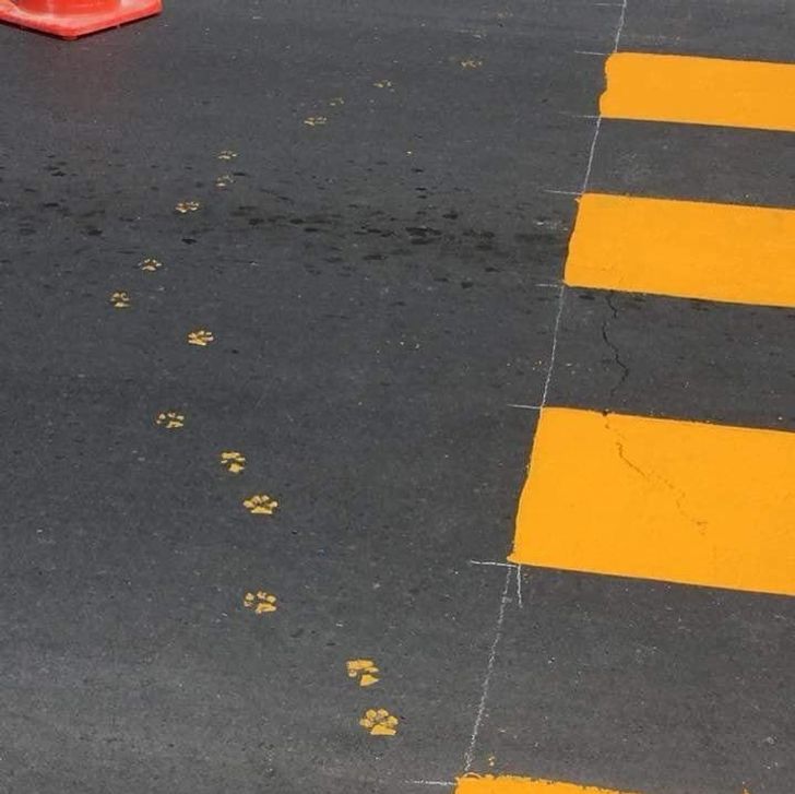 b8590a517182e4e73875ef8fa7