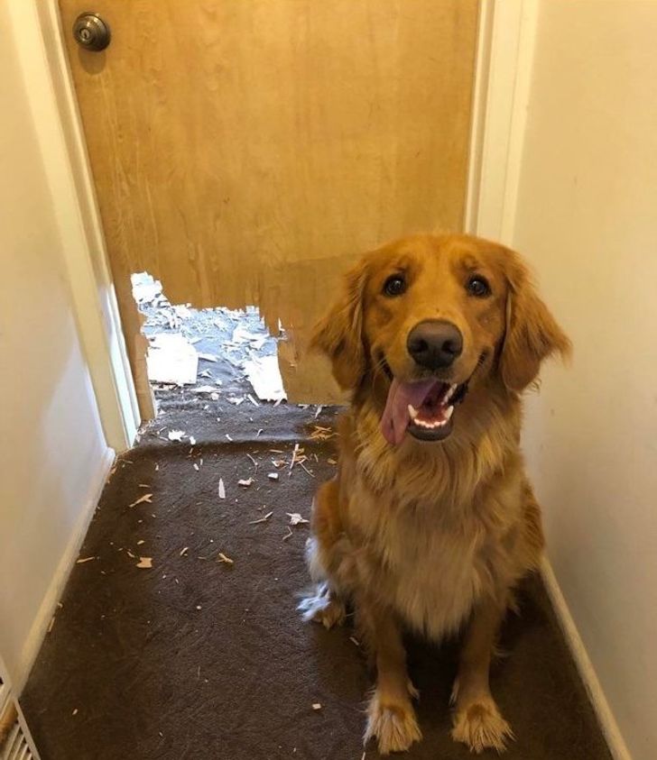 b86332534086cbc01e609383ae