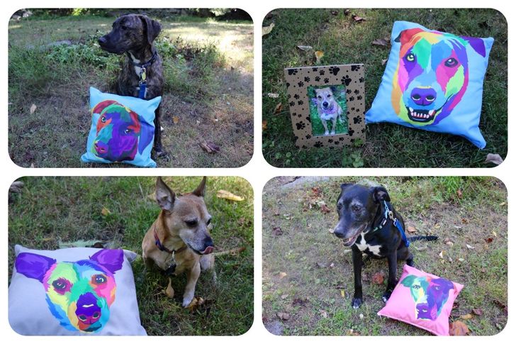 b86c2e561eb241700969900657