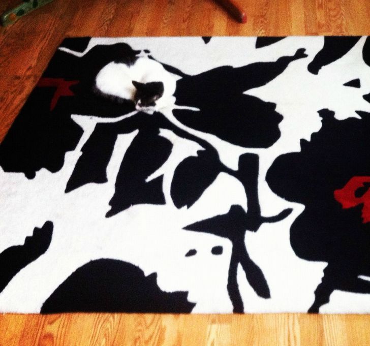 b8750c5a92b9bfedfcfd745915