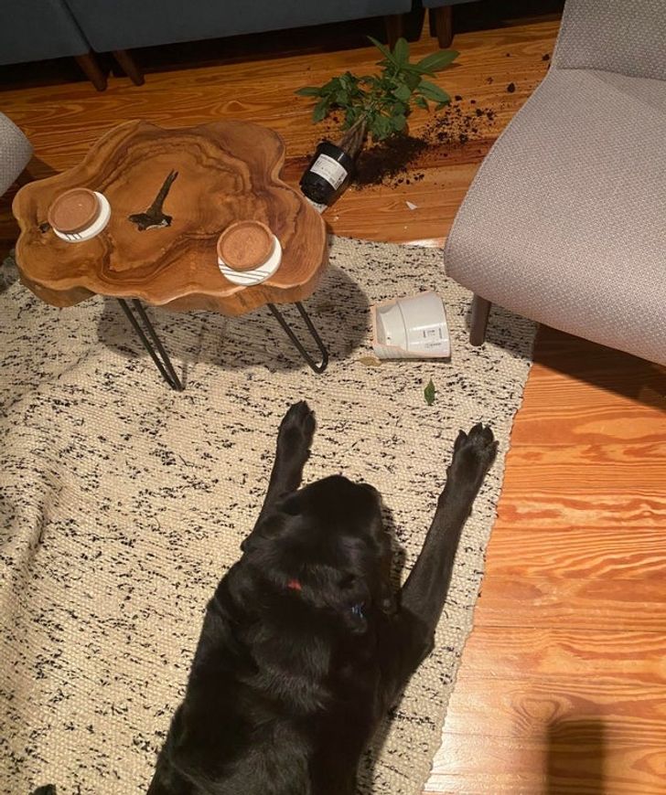 b87dcc5bcb988460dfe7a7ceef