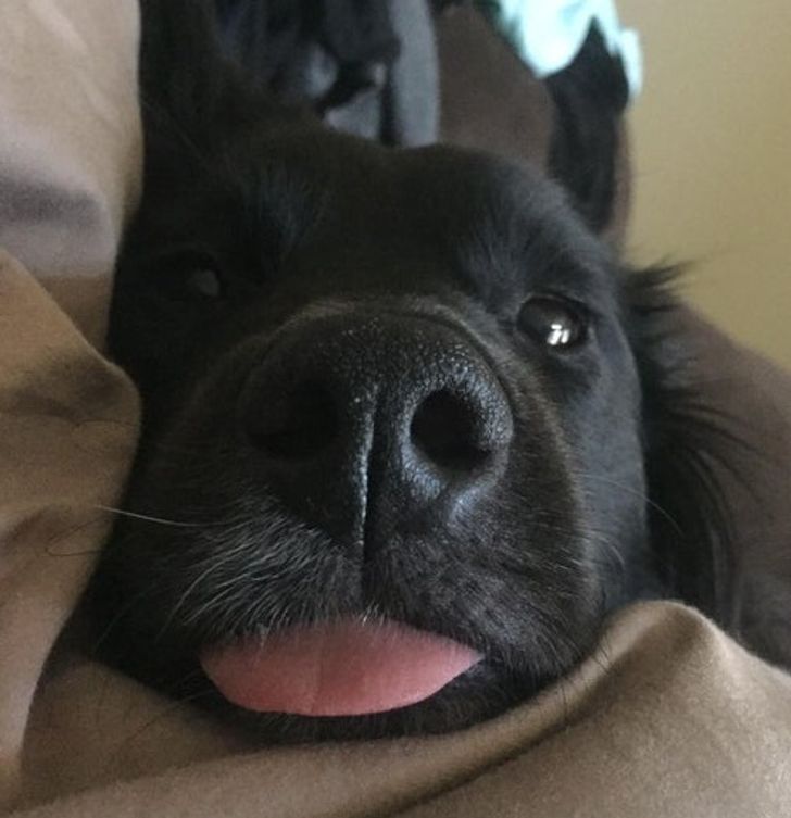 b8810b50c6803ee10f3f72596c