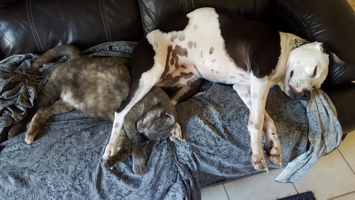 b881515de4b808b70ea423d7fd