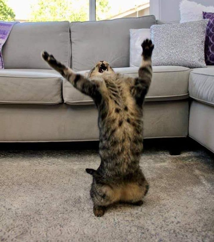 b88732587fa8e6a81c0b32aa70