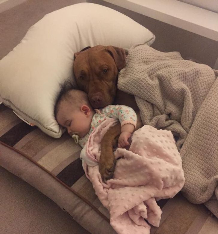 b89d01588898ac0cf718ef7483