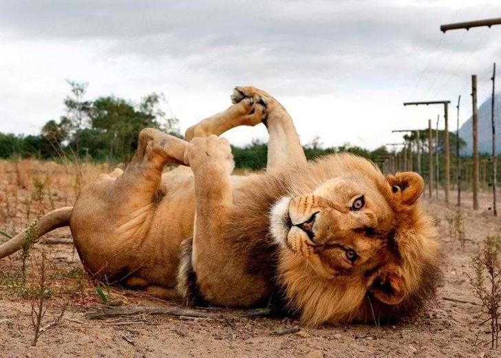 b89d27540c9b94db1d6041dc9a