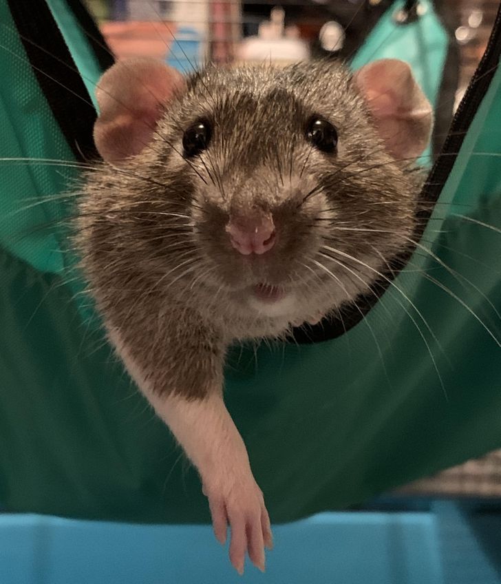 b8ab6153ec84f216702e0c41a7