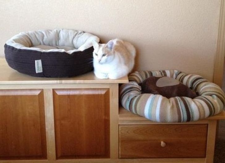 b8b2a55fef943f12356a40ac6b