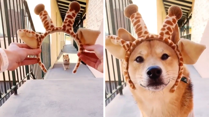 b8b3595b06b973740590f09927