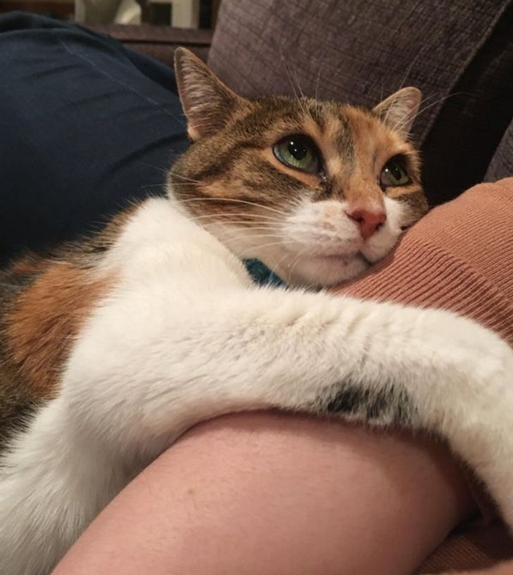 b8b71e5cb2a5505c95568e29c0