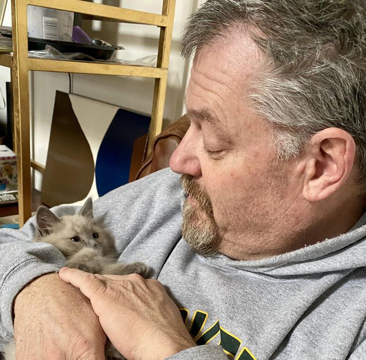 b8bab6551e81540ce02e246efe