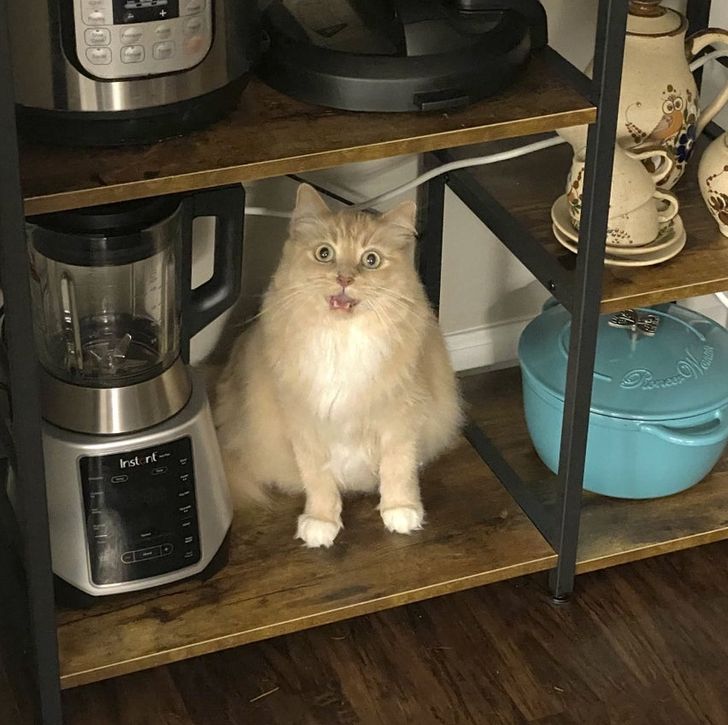 b8bd10581ca810bcb5bc98e8f3