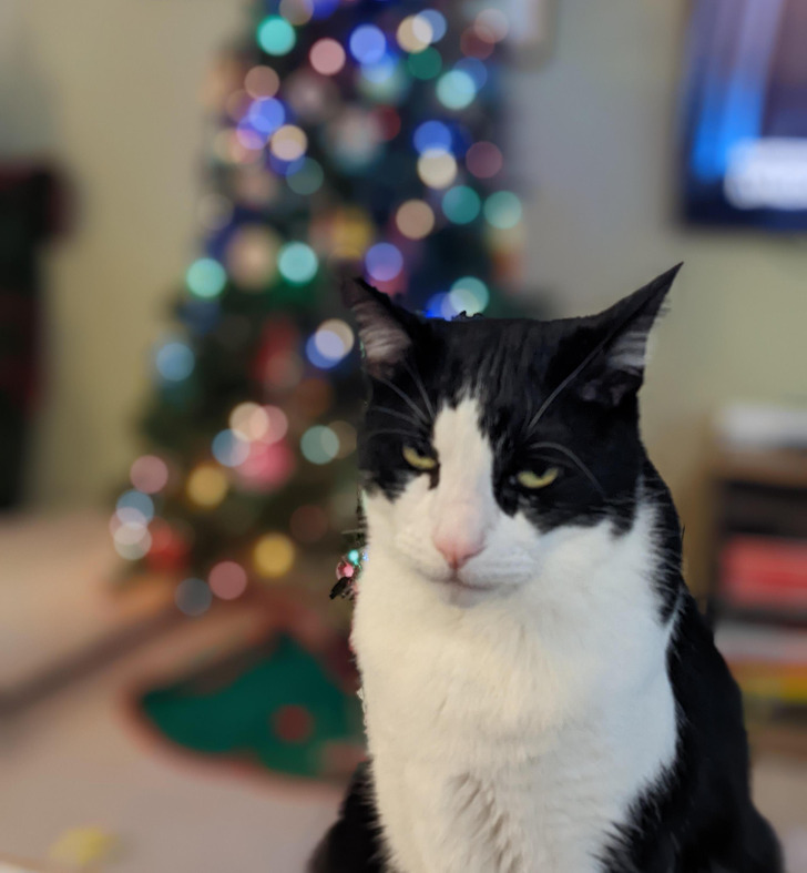 b8bd455748b56dc6287d88ca9c