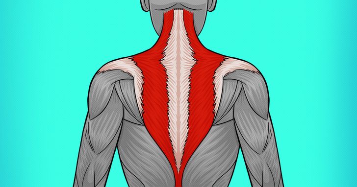 b8c48d57be9c9bb8ad88f2ab76 b8c48d57be9c9bb8ad88f2ab76