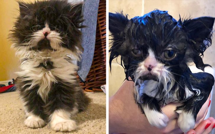 b8cd8e588597596156b66bf258