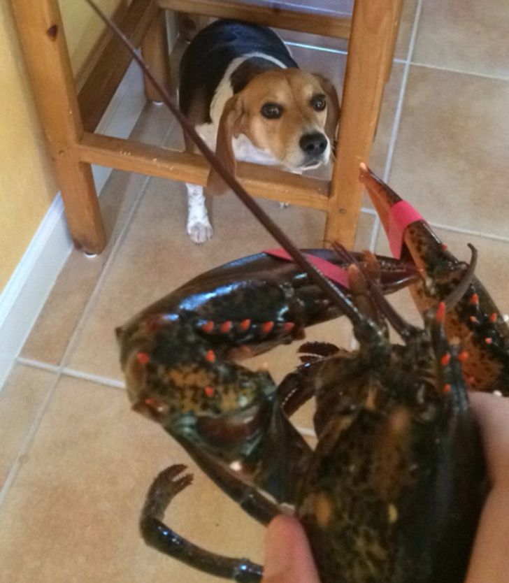 b8d7d95564bb05de279fc9c089