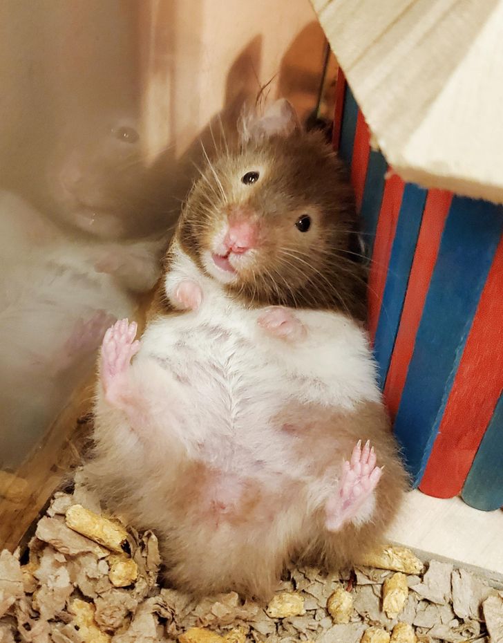 b8db495d9fb2ea015773b7c47b