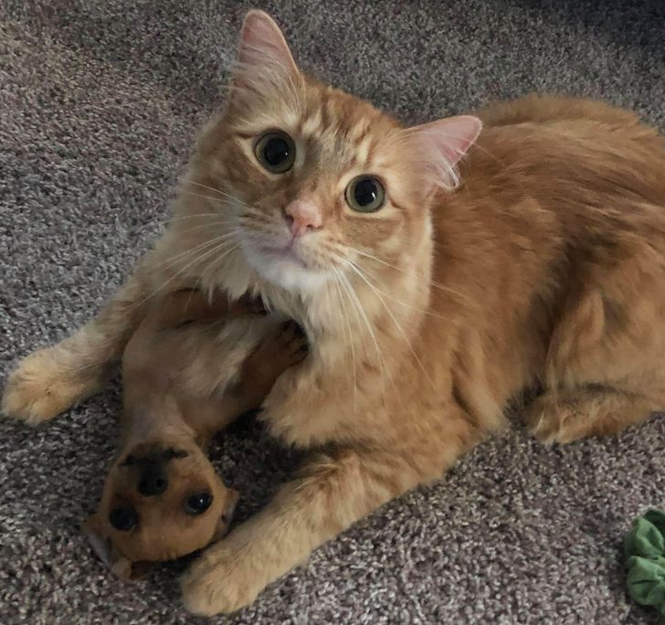 b8e06f5e879080d571d712801f