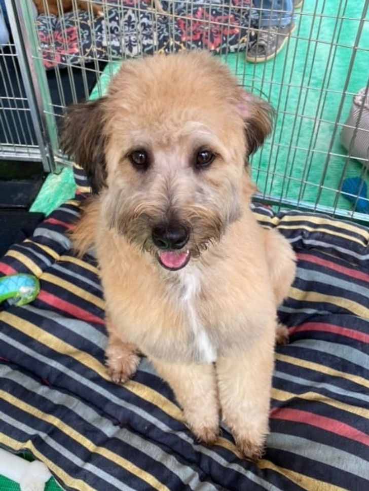 b8e0ba568a8931f8c5667c03c9