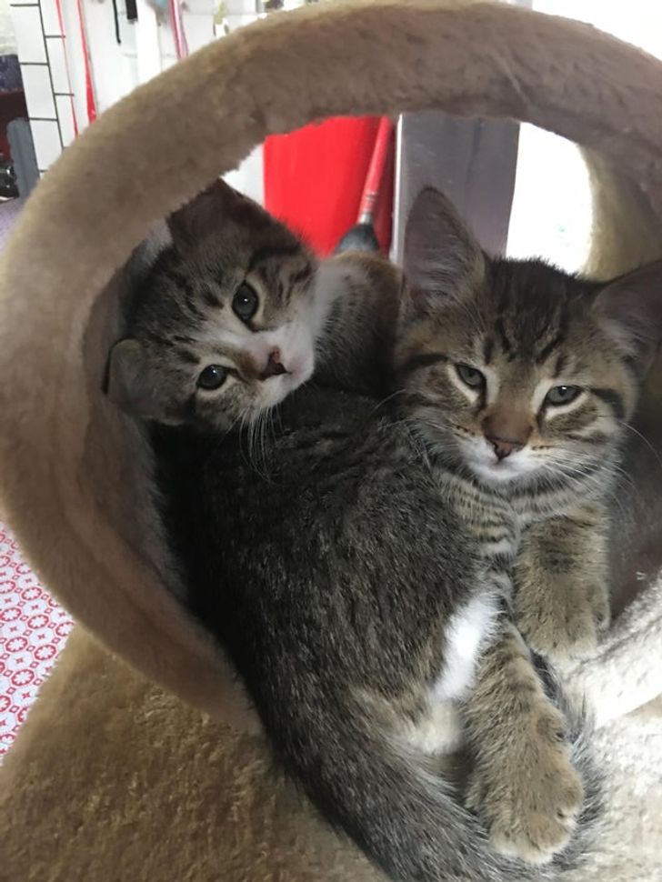 b8e3ae5ed9a17ef98cdc2c59af