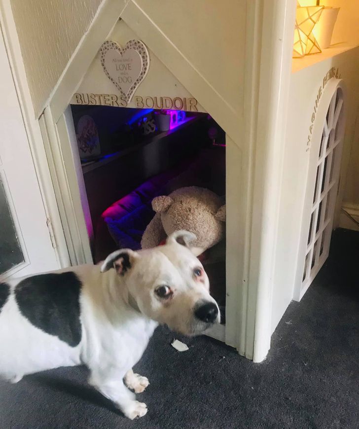 b8ecfc588d9ef08c50a7206e06